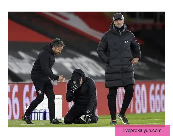 富勒姆转会策略逐渐调整，俱乐部竞争力增强值得关注